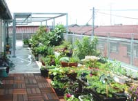 屋上庭園